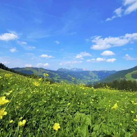 Modern Chalet With Sauna Near Ski Area In Saalbach-Hinterglemm Salzburgerland Chalet Saalbach-Hinterglemm