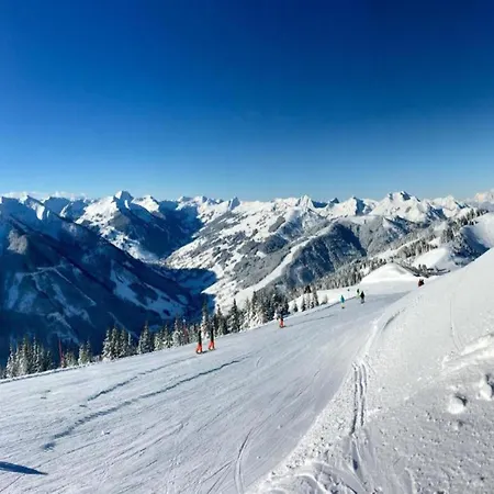 Modern Chalet With Sauna Near Ski Area In Saalbach-Hinterglemm Salzburgerland