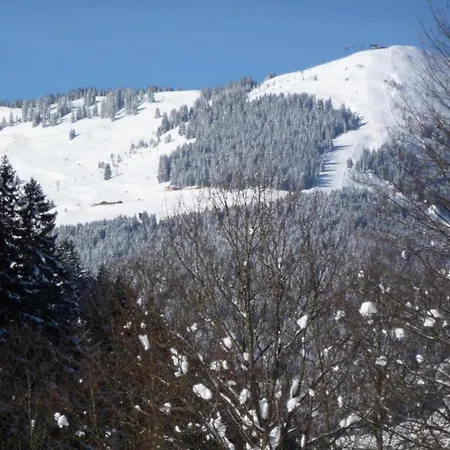 Modern Chalet With Sauna Near Ski Area In Saalbach-Hinterglemm Salzburgerland Chalet
