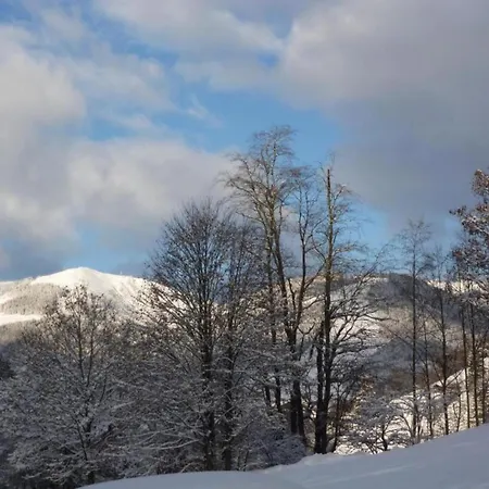 Chalet Modern Chalet With Sauna Near Ski Area In Saalbach-Hinterglemm Salzburgerland *