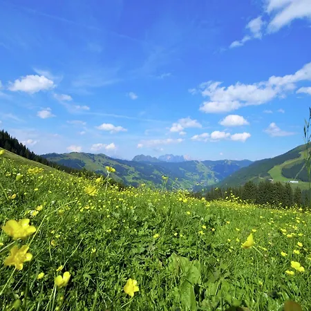 Modern Chalet With Sauna Near Ski Area In Saalbach-Hinterglemm Salzburgerland Chalet