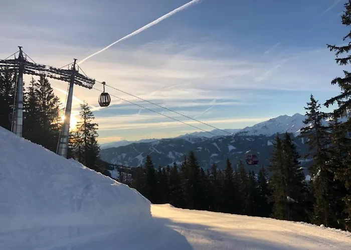 Modern With Sauna Near Area In Salzburgerland Saalbach-Hinterglemm