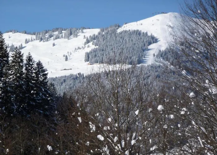 Modern With Sauna Near Area In Salzburgerland Chalet