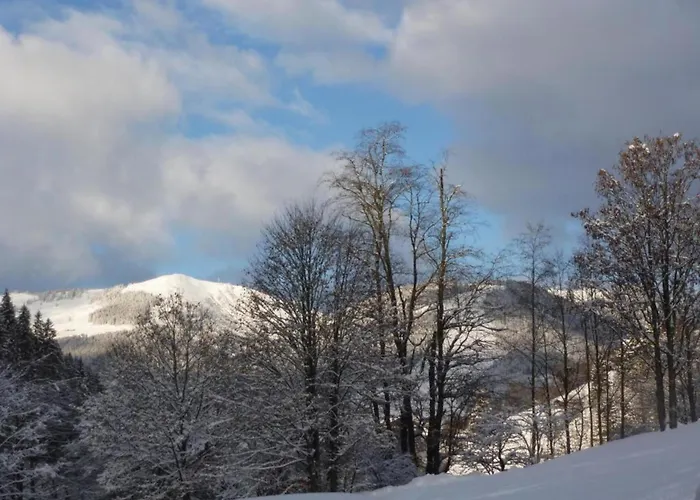 Chalet Modern With Sauna Near Area In Salzburgerland *