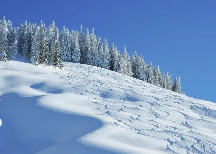 Modern With Sauna Near Area In Salzburgerland Saalbach-Hinterglemm
