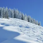 Modern With Sauna Near Area In Salzburgerland Saalbach-Hinterglemm