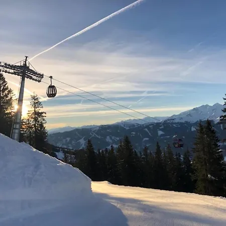 Modern With Sauna Near Area In Salzburgerland Saalbach-Hinterglemm