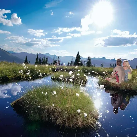 Modern With Sauna Near Area In Salzburgerland