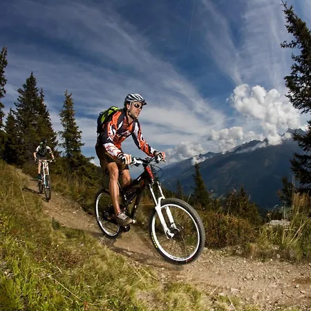 Modern With Sauna Near Area In Salzburgerland *