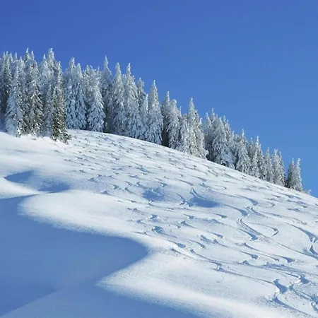 Modern With Sauna Near Area In Salzburgerland Saalbach-Hinterglemm