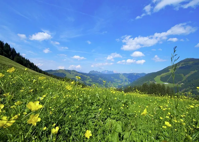 Modern With Sauna Near Area In Salzburgerland *