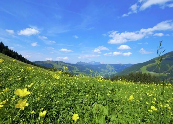 Modern With Sauna Near Area In Salzburgerland Σαλέ Σάαλμπαχ-Χίντεργκλεμ