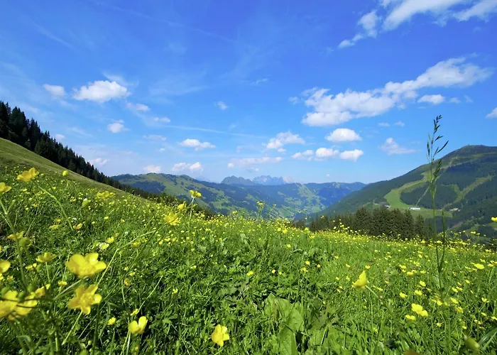 Modern With Sauna Near Area In Salzburgerland Σαλέ